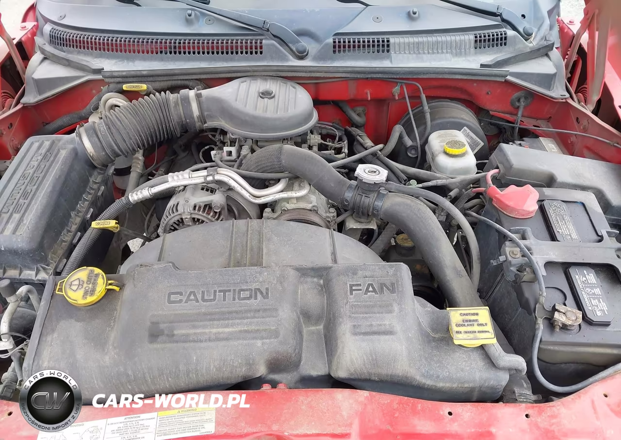 2003 Dodge Dakota VIN:1D7HG12X13S324099 - 10