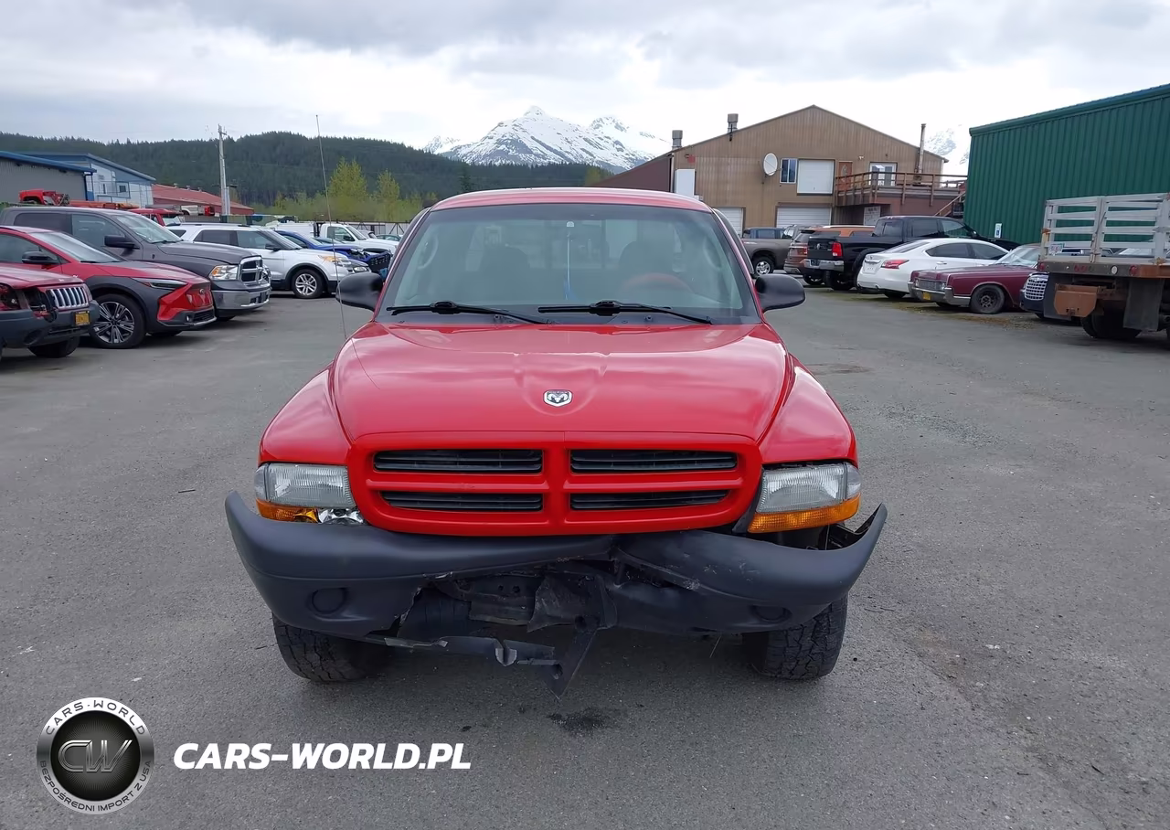 2003 Dodge Dakota VIN:1D7HG12X13S324099 - 12
