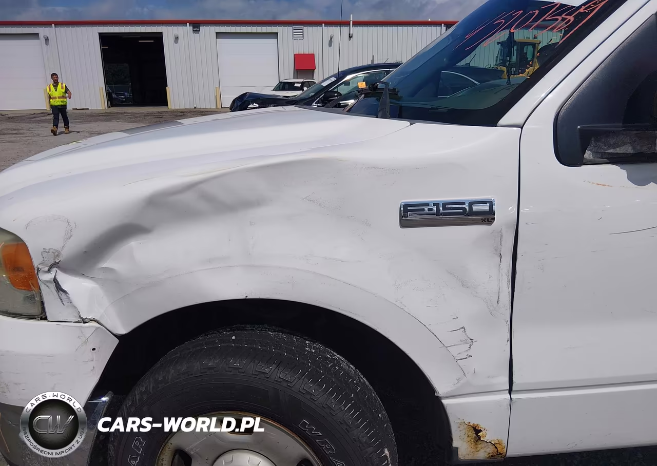 2006 Ford F-150 Stx-Xl-Xlt VIN:1FTRF12216KB36919 - 12