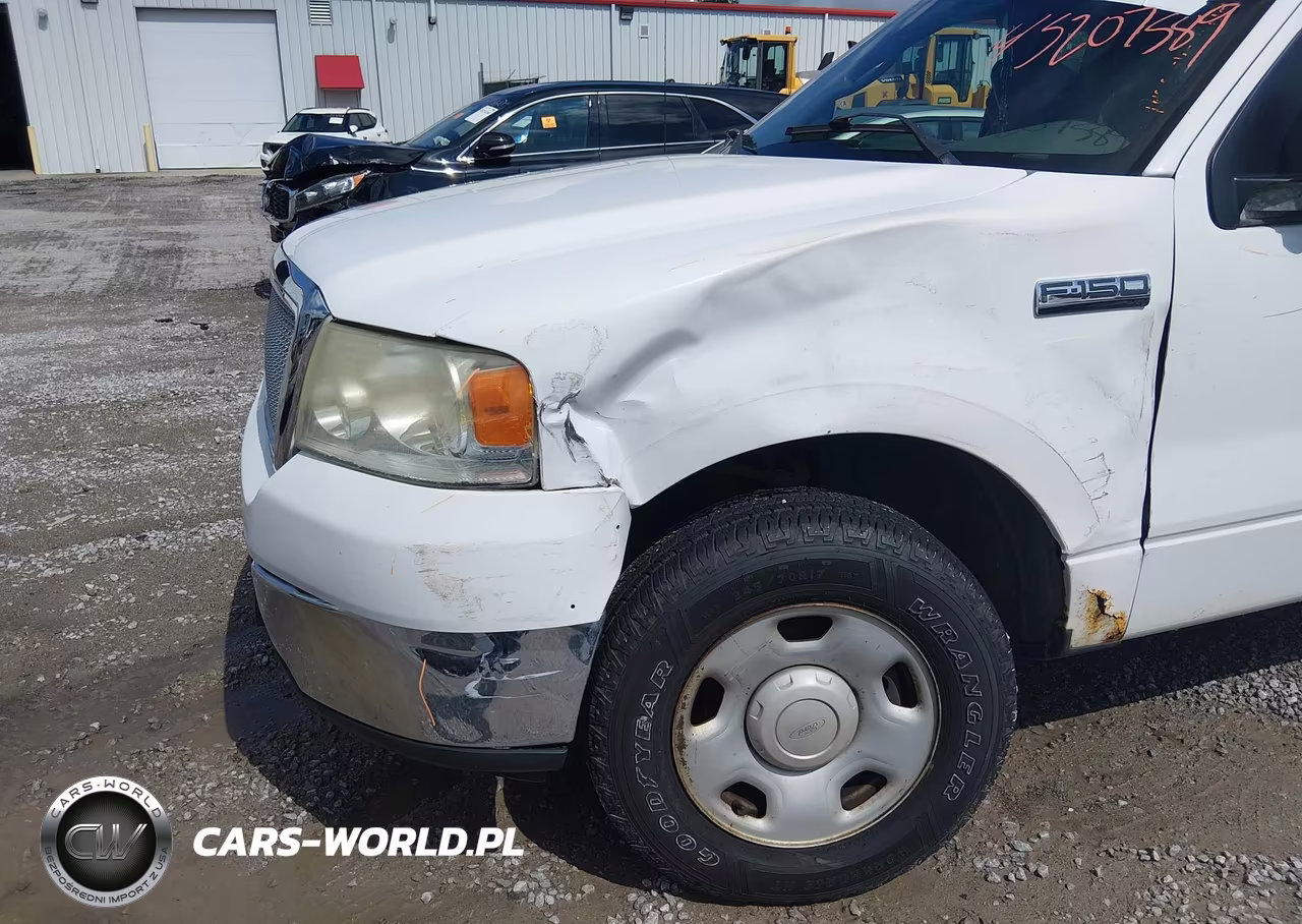 2006 Ford F-150 Stx-Xl-Xlt VIN:1FTRF12216KB36919 - 6