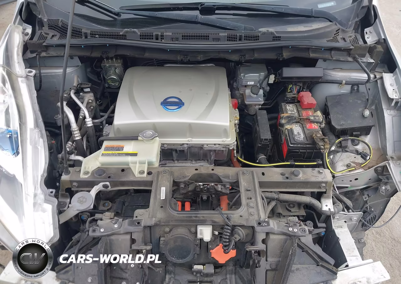 2015 Nissan Leaf Sl VIN:1N4AZ0CPXFC326145 - 10