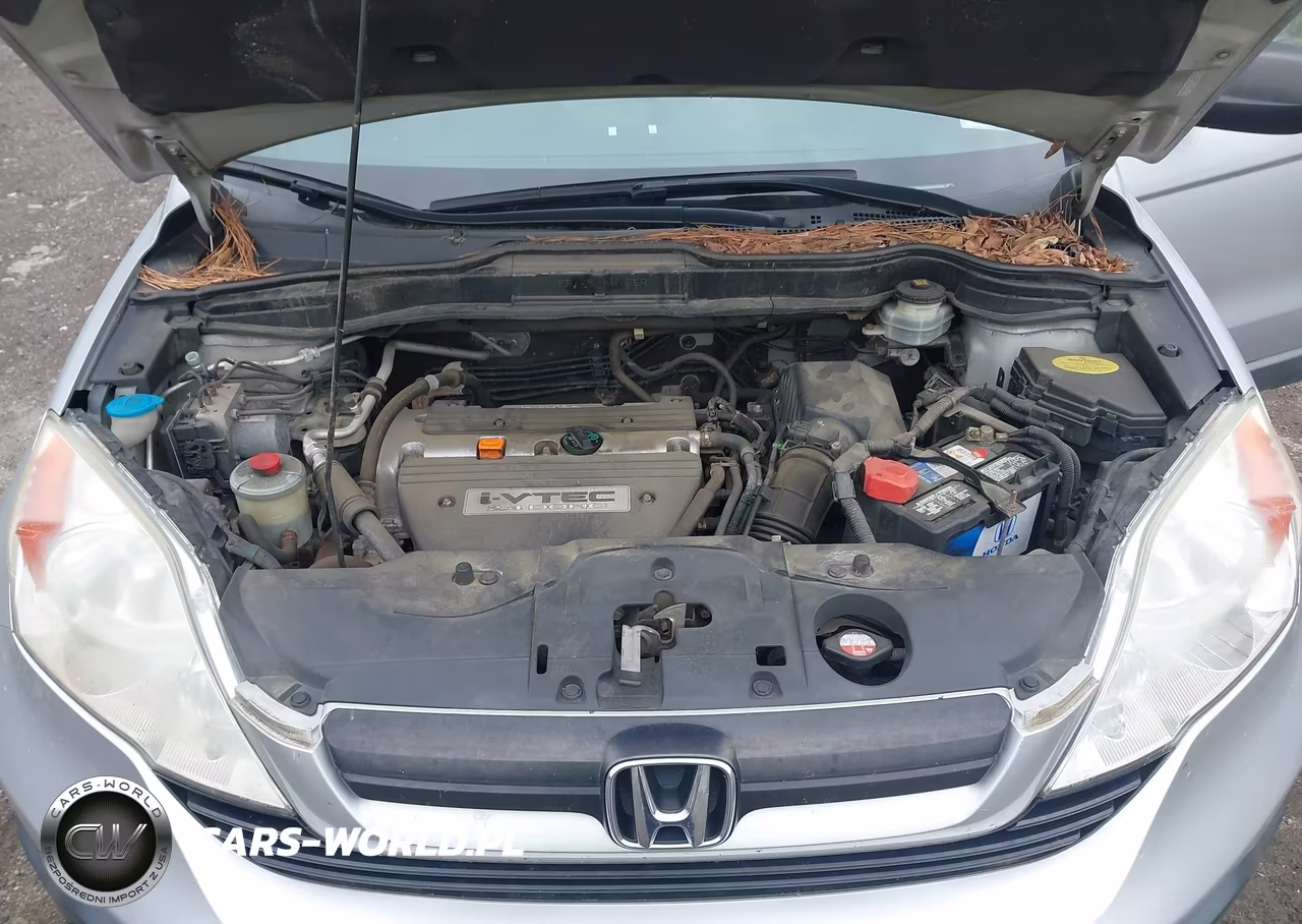 2009 Honda Cr-V Lx VIN:5J6RE48369L056075 - 10