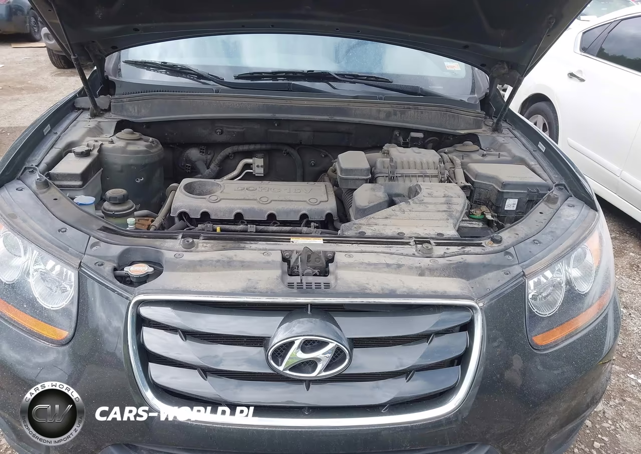 2010 Hyundai Santa Fe Gls VIN:5NMSG3AB0AH400468 - 10