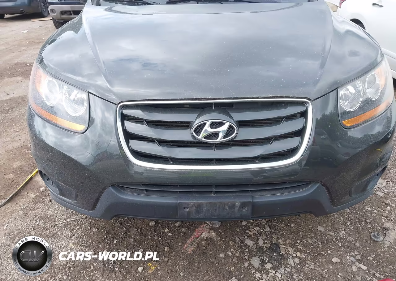 2010 Hyundai Santa Fe Gls VIN:5NMSG3AB0AH400468 - 6