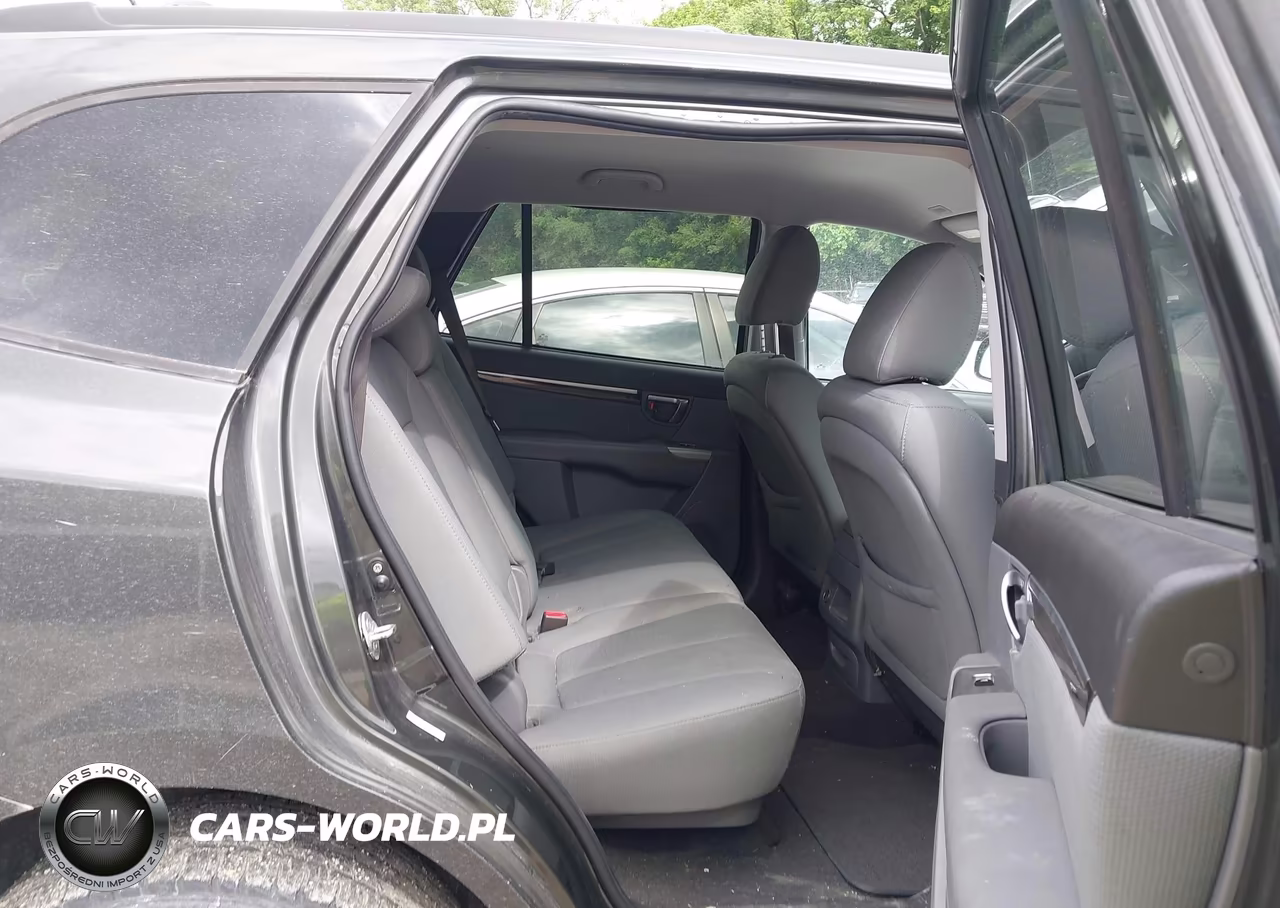 2010 Hyundai Santa Fe Gls VIN:5NMSG3AB0AH400468 - 8