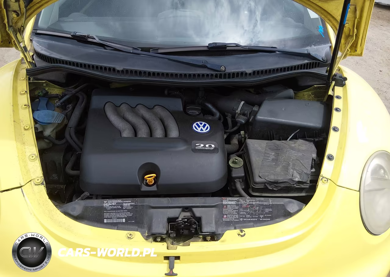 2001 Volkswagen New Beetle Gls VIN:3VWCK21C61M458276 - 10