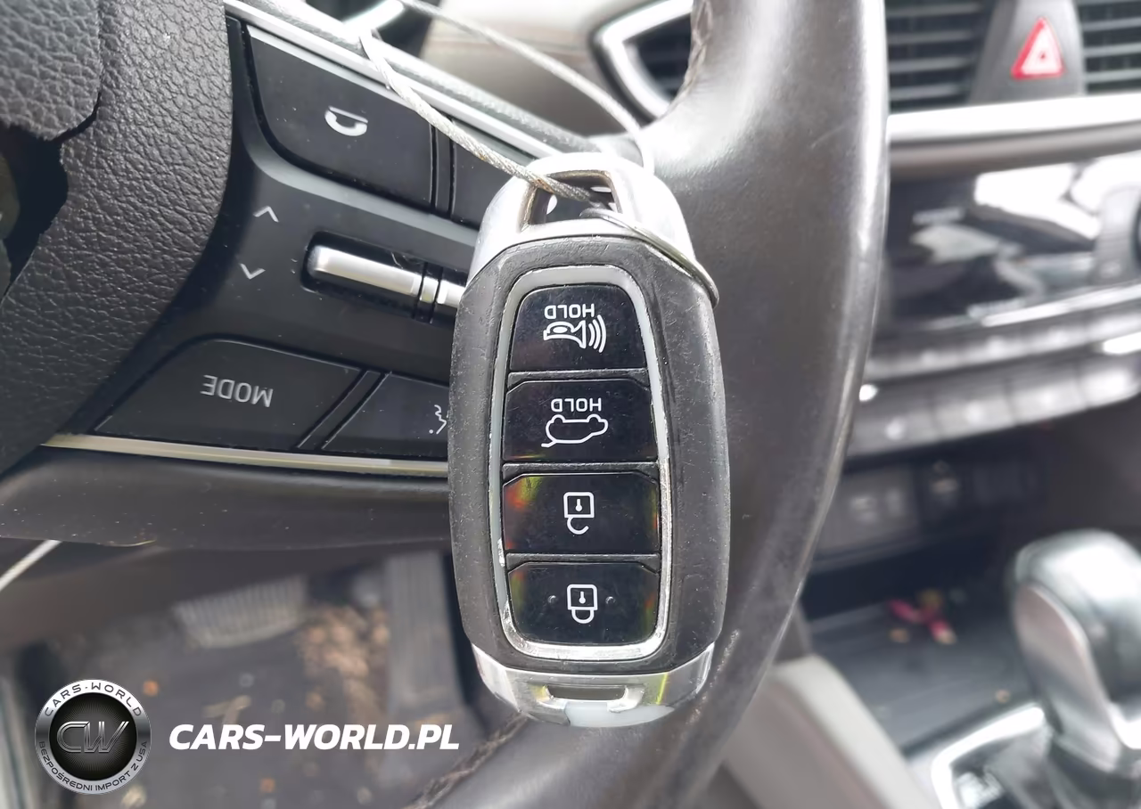 2020 Hyundai Santa Fe Limited VIN:5NMS53AD8LH153016 - 11
