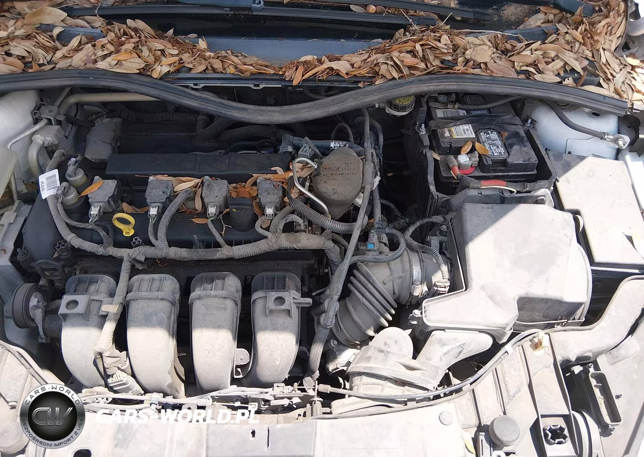 2015 Ford Focus Se VIN:1FADP3K26FL300975 - 10