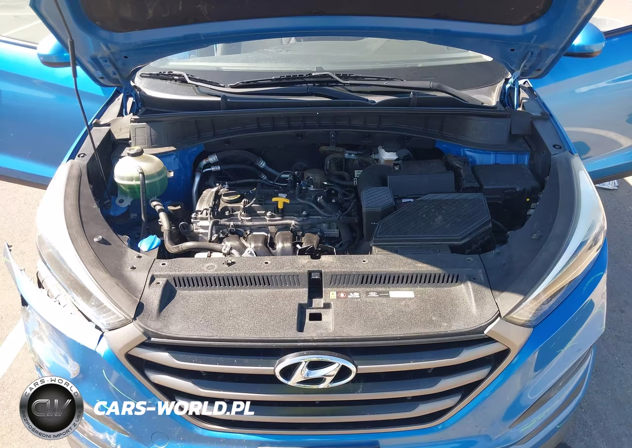 2016 Hyundai Tucson Se VIN:KM8J3CA49GU224526 - 10