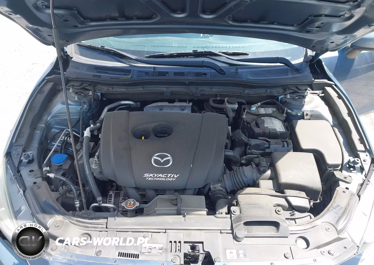 2016 Mazda Mazda3 I Sport VIN:JM1BM1U71G1317235 - 10