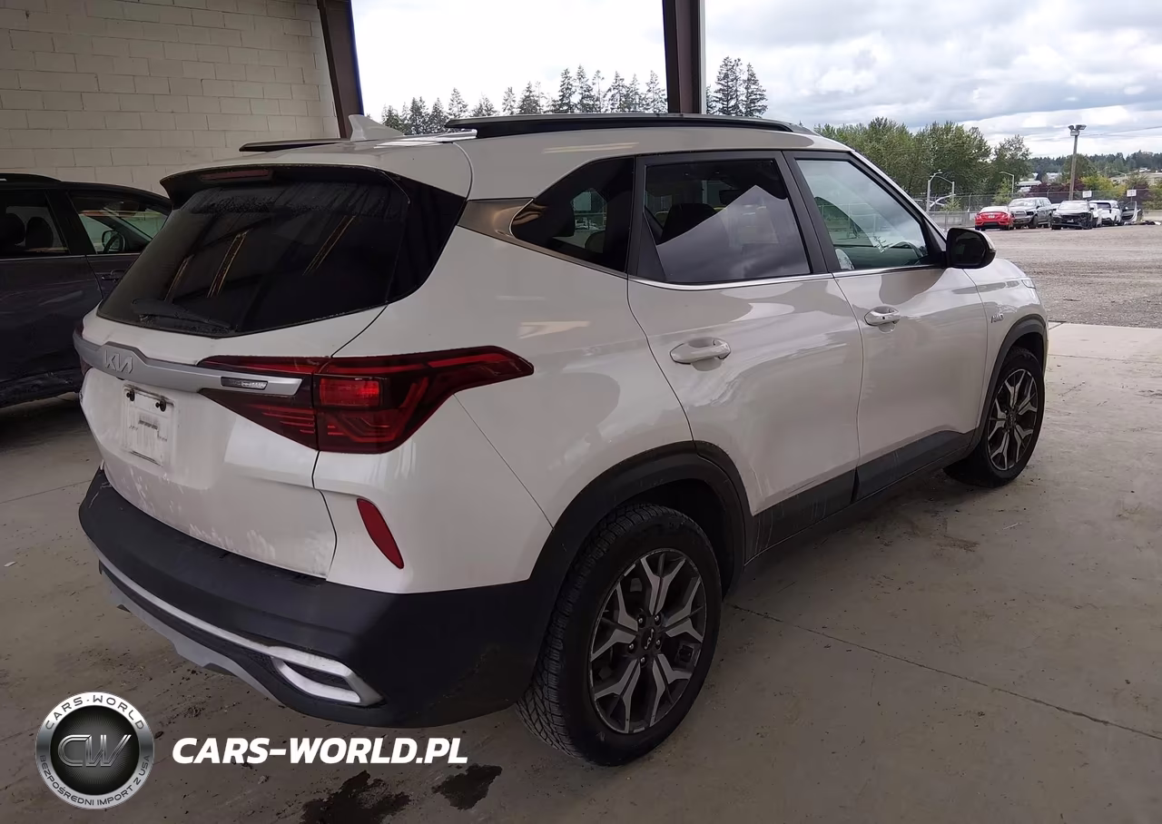 2022 Kia Seltos Ex VIN:KNDERCAA9N7257287 - 4