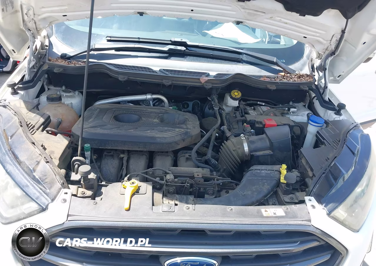 2018 Ford Ecosport Ses VIN:MAJ6P1CL9JC248884 - 10