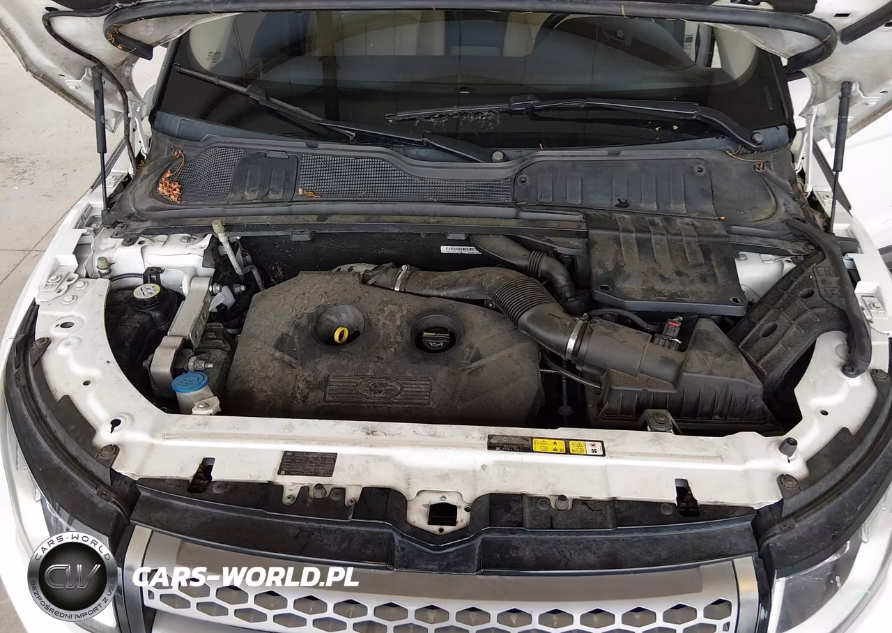 2016 Land Rover Range Rover Evoque Se-Se Premium VIN:SALVP2BG0GH078807 - 10