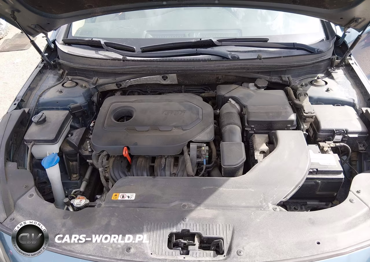 2016 Hyundai Sonata Se VIN:5NPE24AF6GH359733 - 10