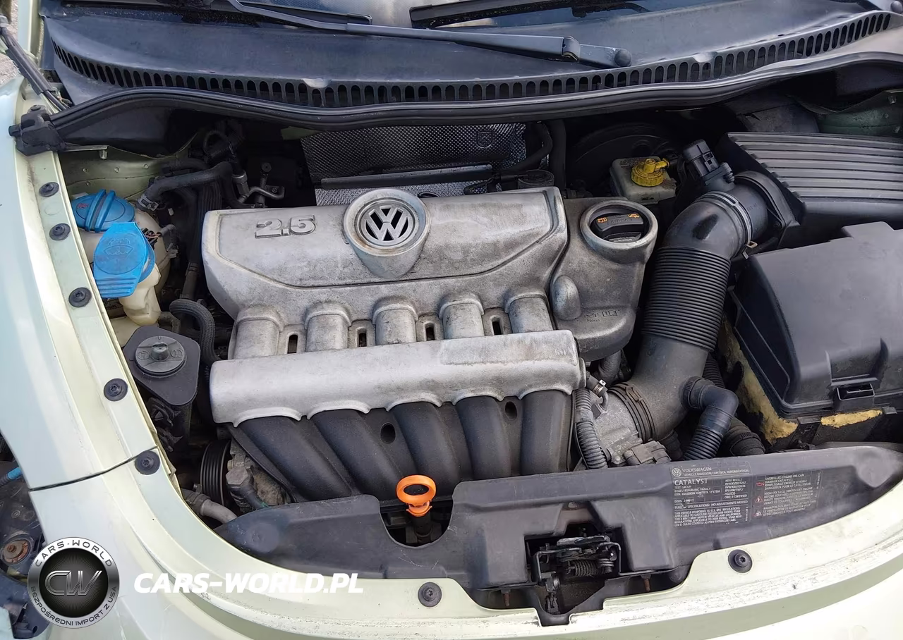 2008 Volkswagen New Beetle Se VIN:3VWRG31Y98M412948 - 10