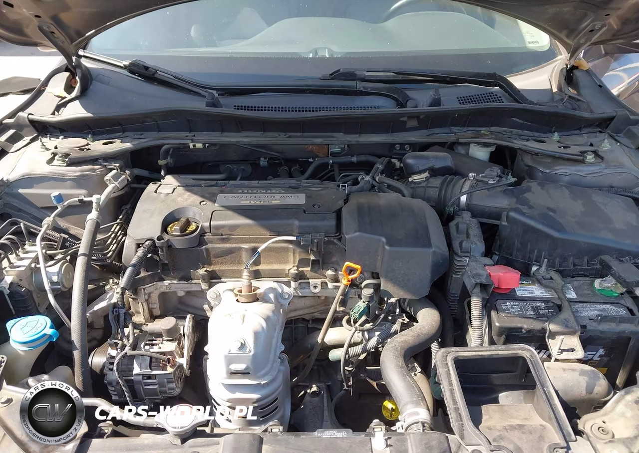 2013 Honda Accord Ex-L VIN:1HGCR2F82DA187951 - 10
