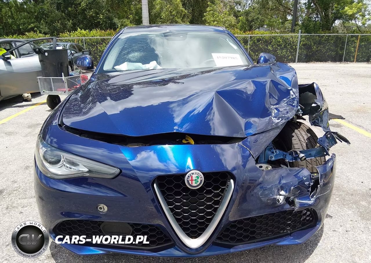 2017 Alfa Romeo Giulia Rwd VIN:ZARFAEBNXH7548416 - 13
