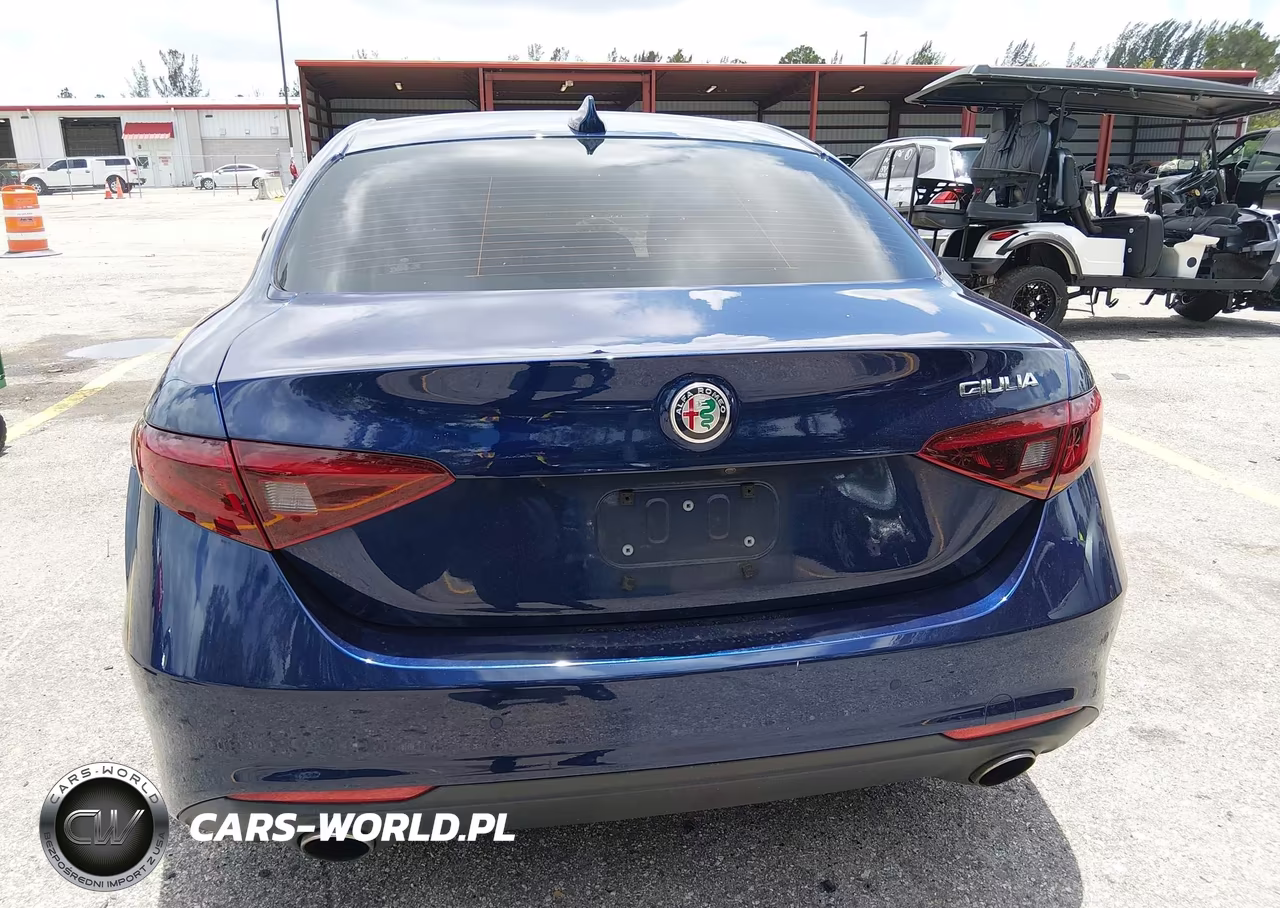 2017 Alfa Romeo Giulia Rwd VIN:ZARFAEBNXH7548416 - 17