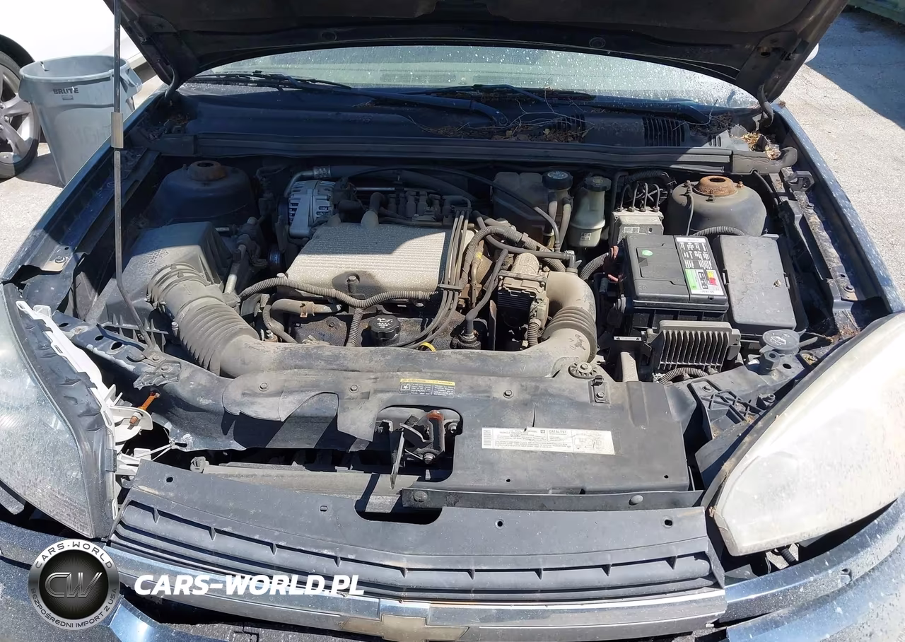 2004 Chevrolet Malibu Ls VIN:1G1ZT54864F181399 - 10