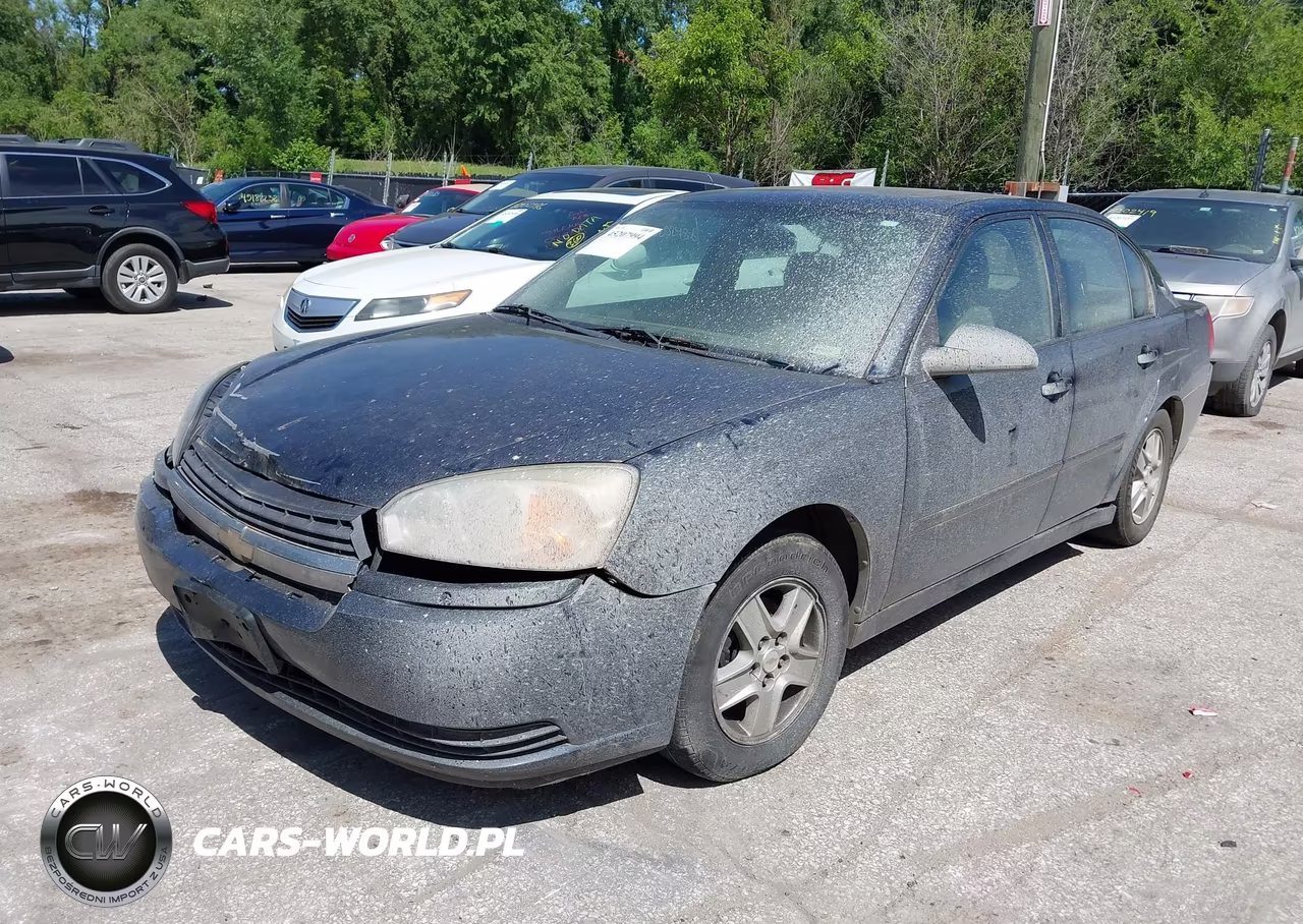 2004 Chevrolet Malibu Ls VIN:1G1ZT54864F181399 - 2