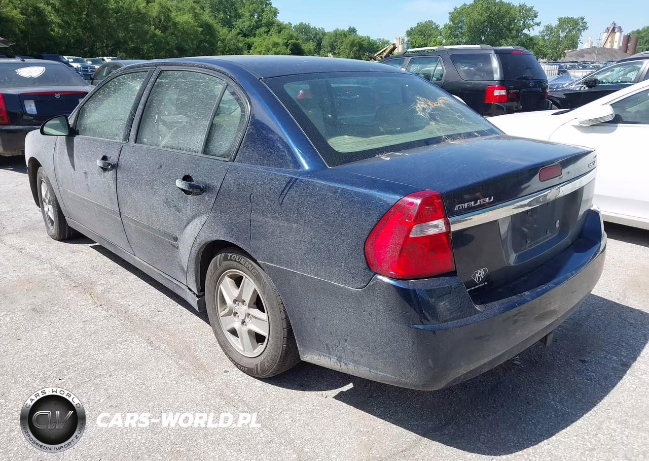 2004 Chevrolet Malibu Ls VIN:1G1ZT54864F181399 - 3
