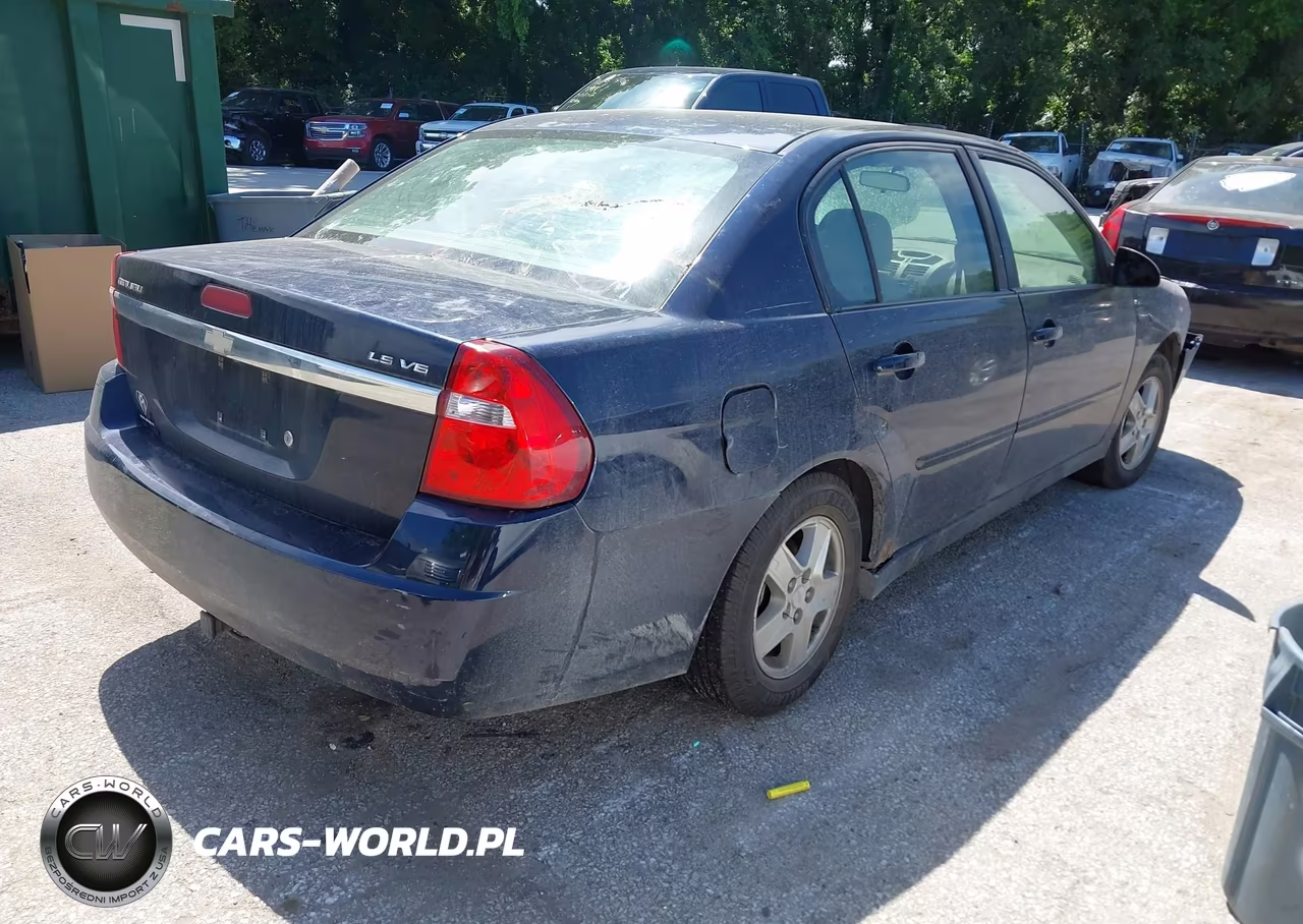 2004 Chevrolet Malibu Ls VIN:1G1ZT54864F181399 - 4