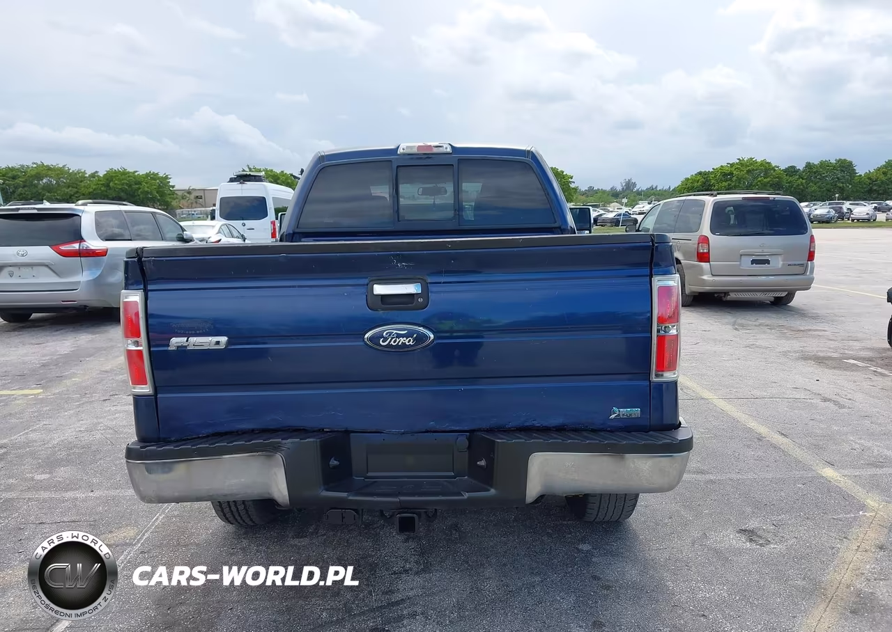 2010 Ford F-150 Fx4-Lariat-Xl-Xlt VIN:1FTFX1EV6AFC55833 - 16