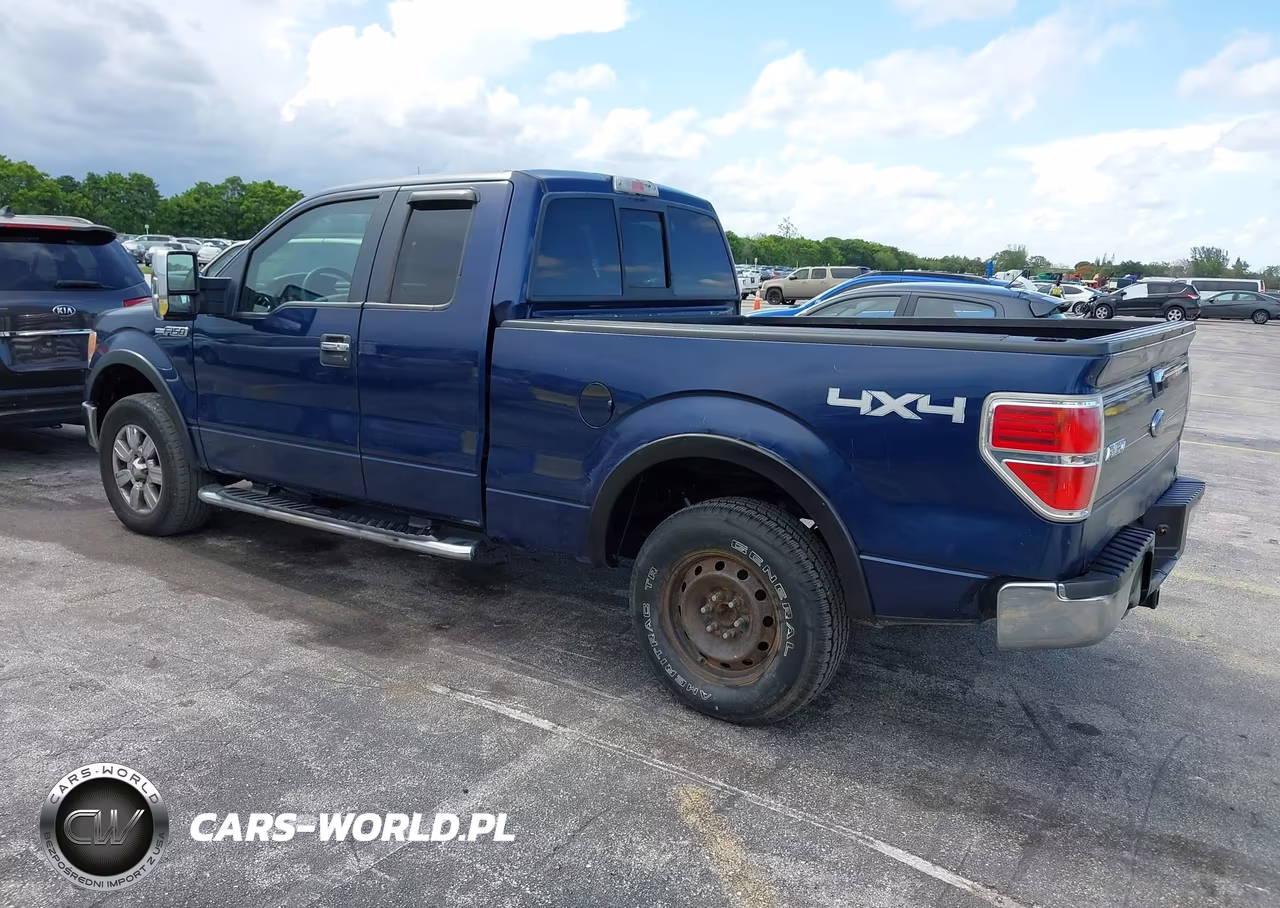 2010 Ford F-150 Fx4-Lariat-Xl-Xlt VIN:1FTFX1EV6AFC55833 - 3