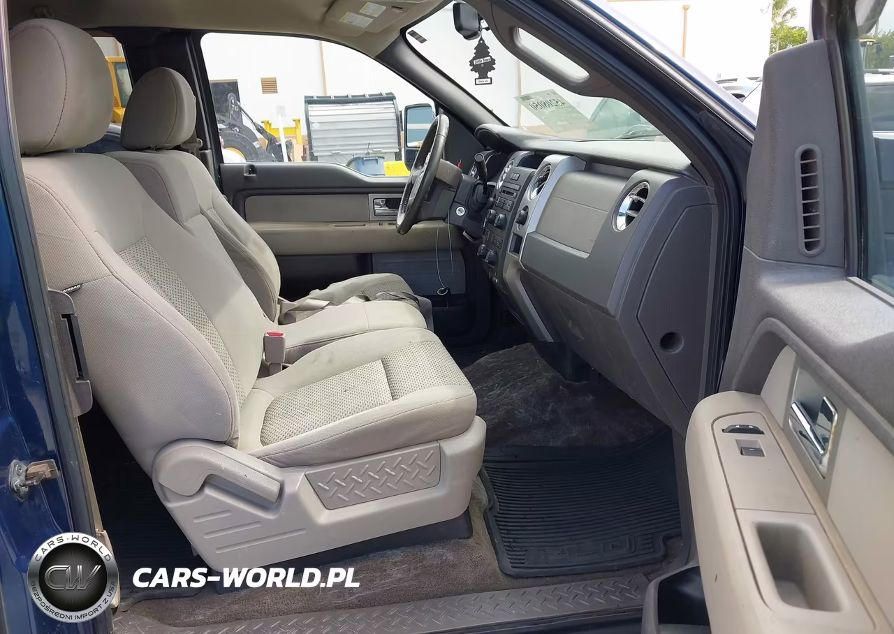 2010 Ford F-150 Fx4-Lariat-Xl-Xlt VIN:1FTFX1EV6AFC55833 - 5