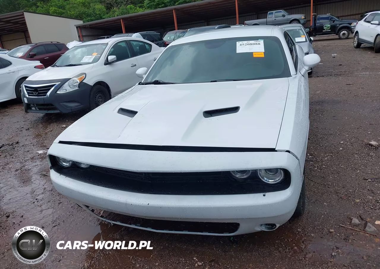2019 Dodge Challenger R-T VIN:2C3CDZBT4KH641488 - 12