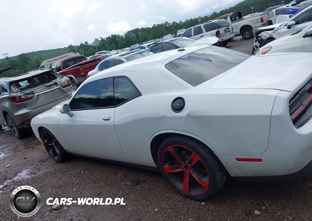 2019 Dodge Challenger R-T VIN:2C3CDZBT4KH641488 - 14