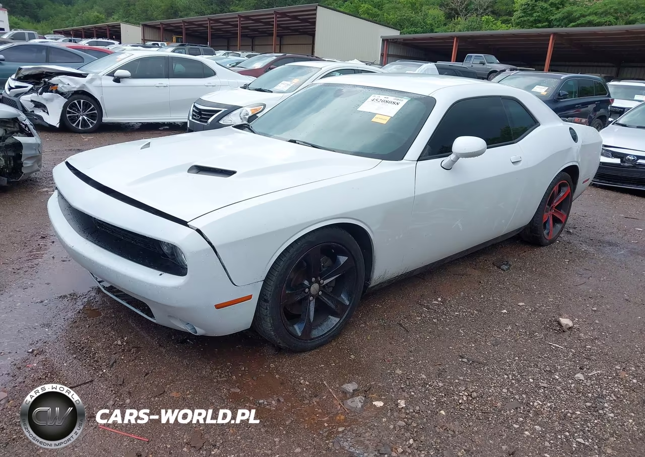 2019 Dodge Challenger R-T VIN:2C3CDZBT4KH641488 - 2