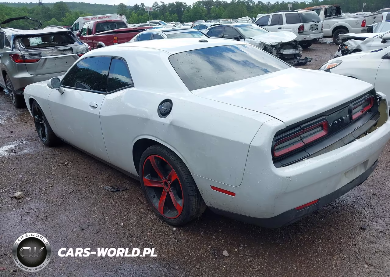 2019 Dodge Challenger R-T VIN:2C3CDZBT4KH641488 - 3