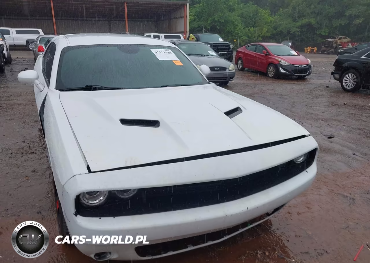 2019 Dodge Challenger R-T VIN:2C3CDZBT4KH641488 - 6