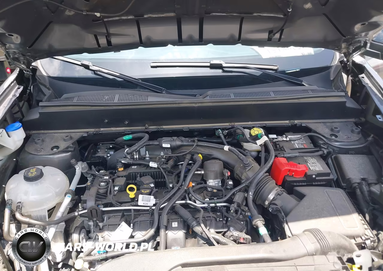 2024 Ford Maverick Xlt VIN:3FTTW8H92RRB54512 - 10