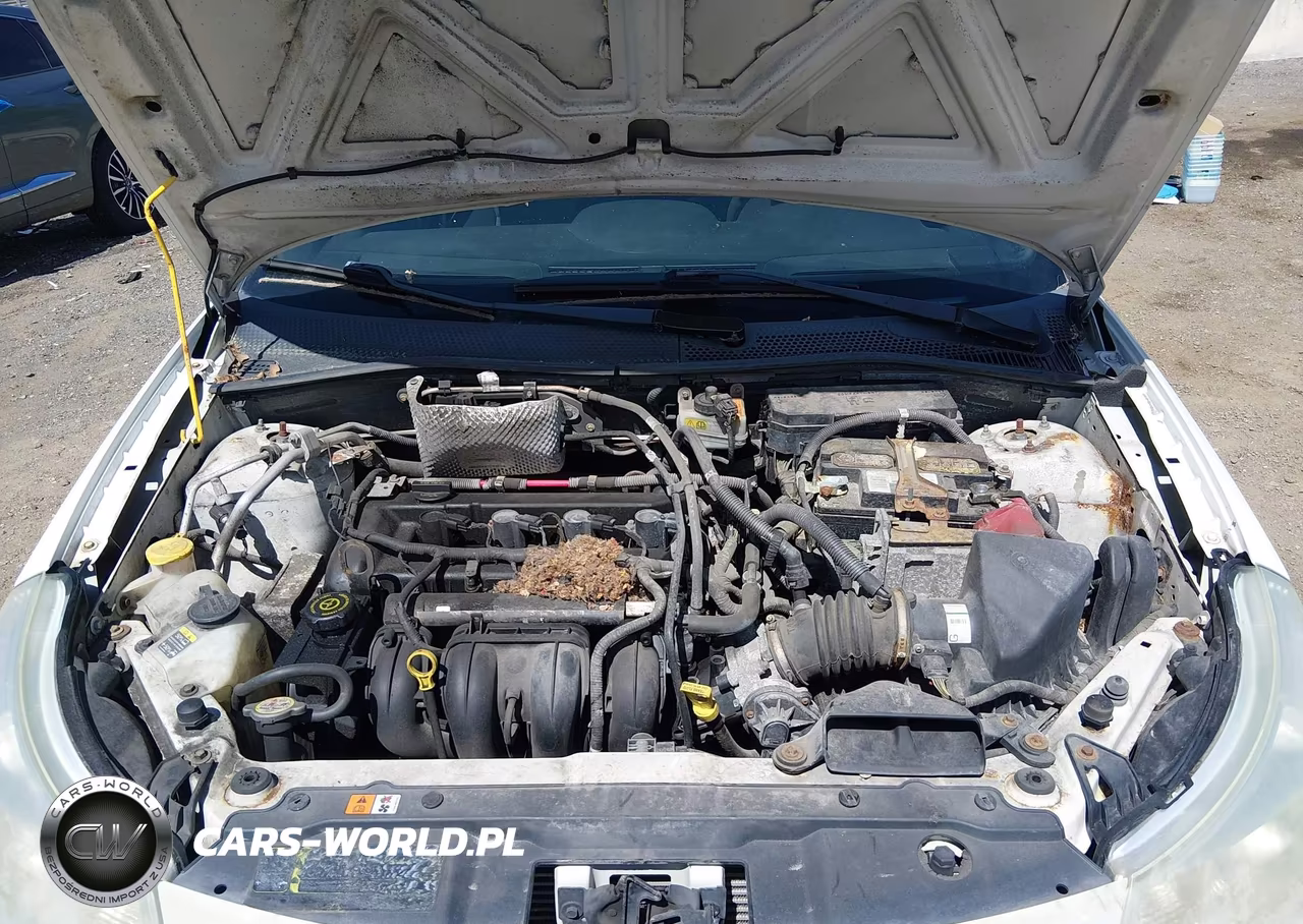 2010 Ford Focus Se VIN:1FAHP3FN9AW224262 - 10
