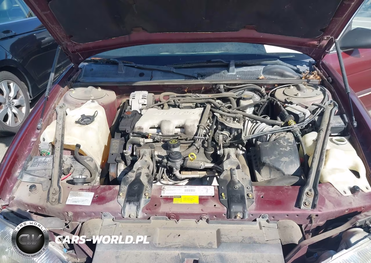 2001 Chevrolet Lumina VIN:2G1WL52J811285386 - 10