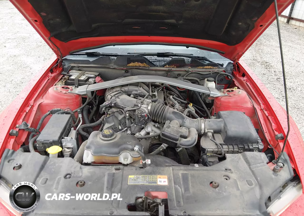 2014 Ford Mustang V6 Premium VIN:1ZVBP8EM6E5319750 - 10