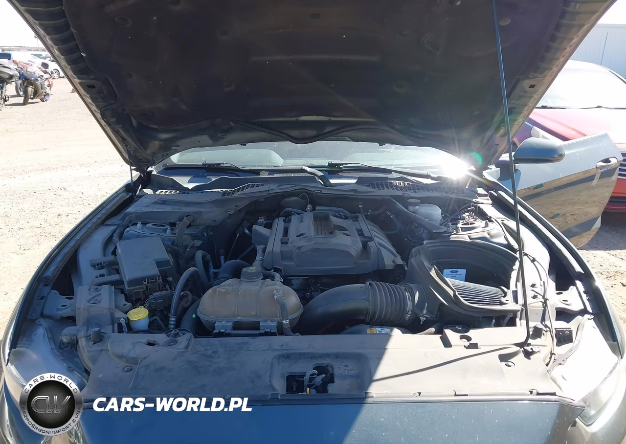 2016 Ford Mustang Ecoboost VIN:1FA6P8TH2G5273871 - 10