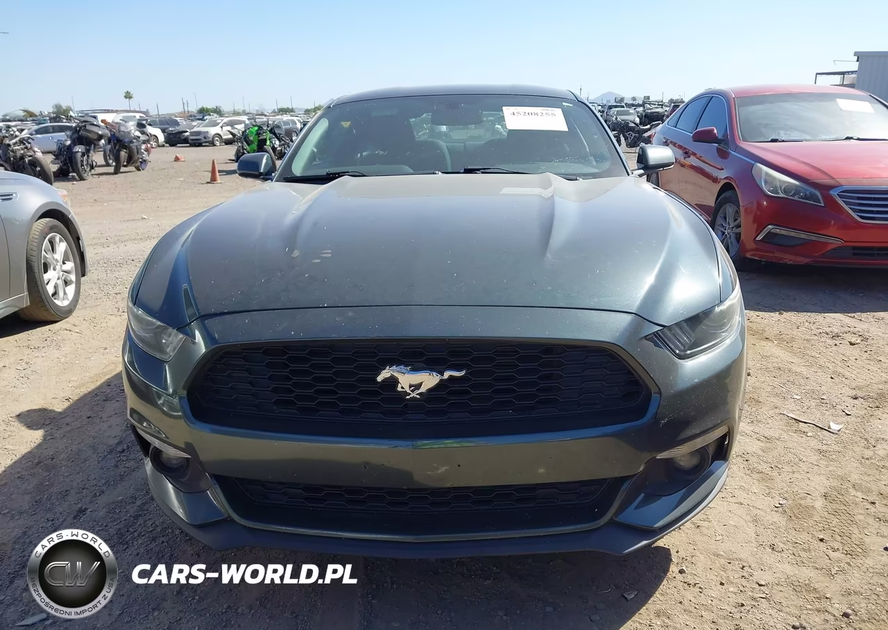 2016 Ford Mustang Ecoboost VIN:1FA6P8TH2G5273871 - 12