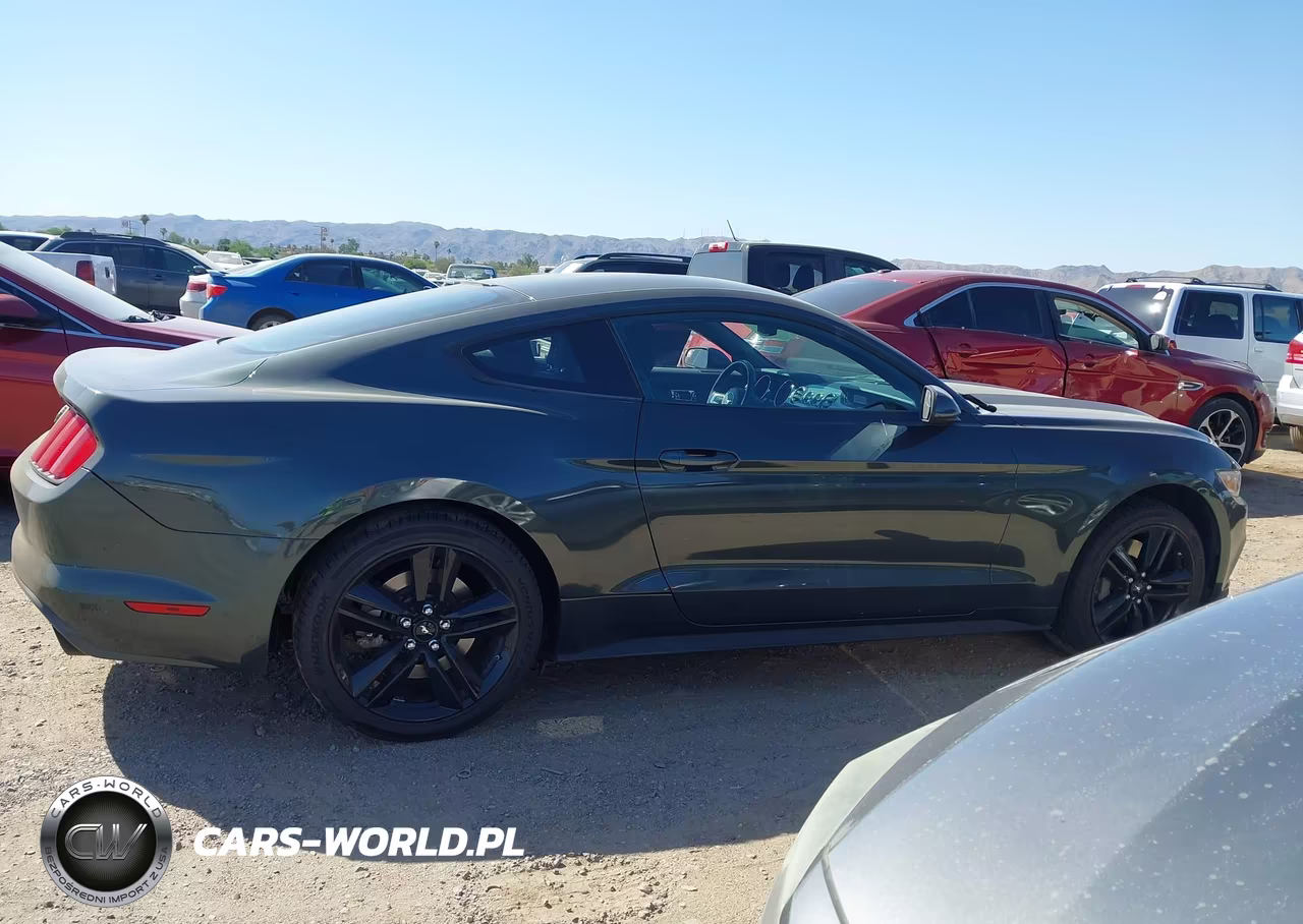 2016 Ford Mustang Ecoboost VIN:1FA6P8TH2G5273871 - 13