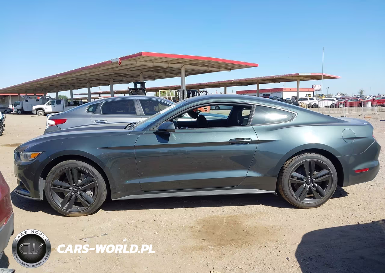 2016 Ford Mustang Ecoboost VIN:1FA6P8TH2G5273871 - 14