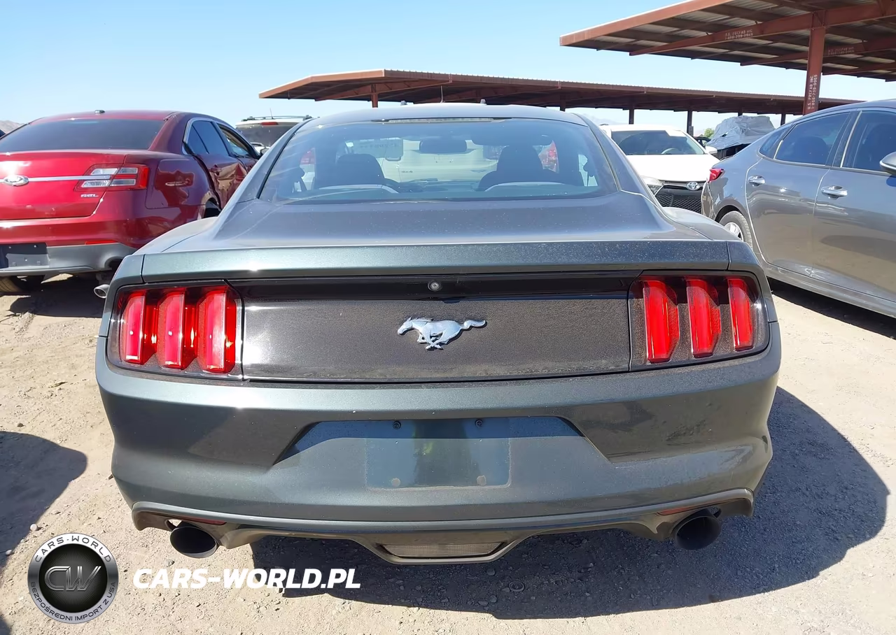 2016 Ford Mustang Ecoboost VIN:1FA6P8TH2G5273871 - 16