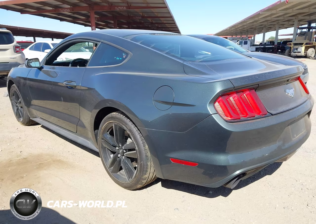 2016 Ford Mustang Ecoboost VIN:1FA6P8TH2G5273871 - 3