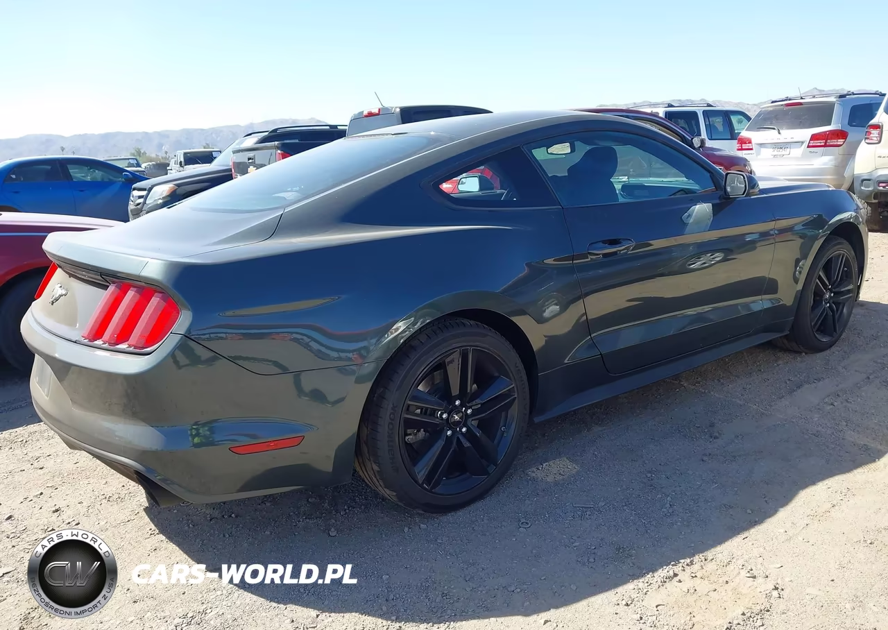 2016 Ford Mustang Ecoboost VIN:1FA6P8TH2G5273871 - 4