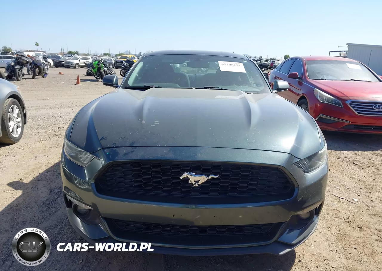 2016 Ford Mustang Ecoboost VIN:1FA6P8TH2G5273871 - 6