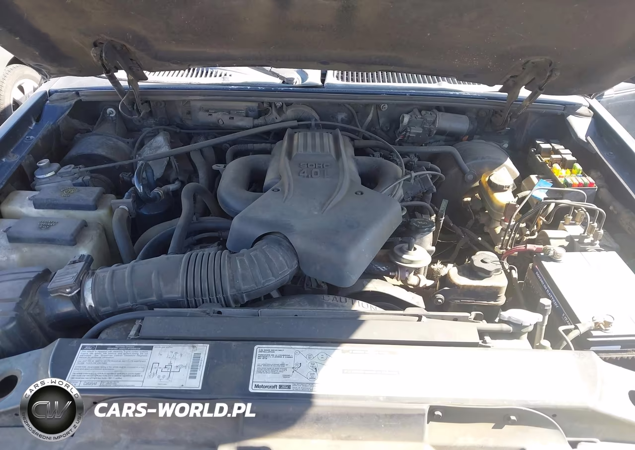 1999 Ford Explorer Eddie Bauer-Limited-Xlt VIN:1FMDU34E2XZB89877 - 10
