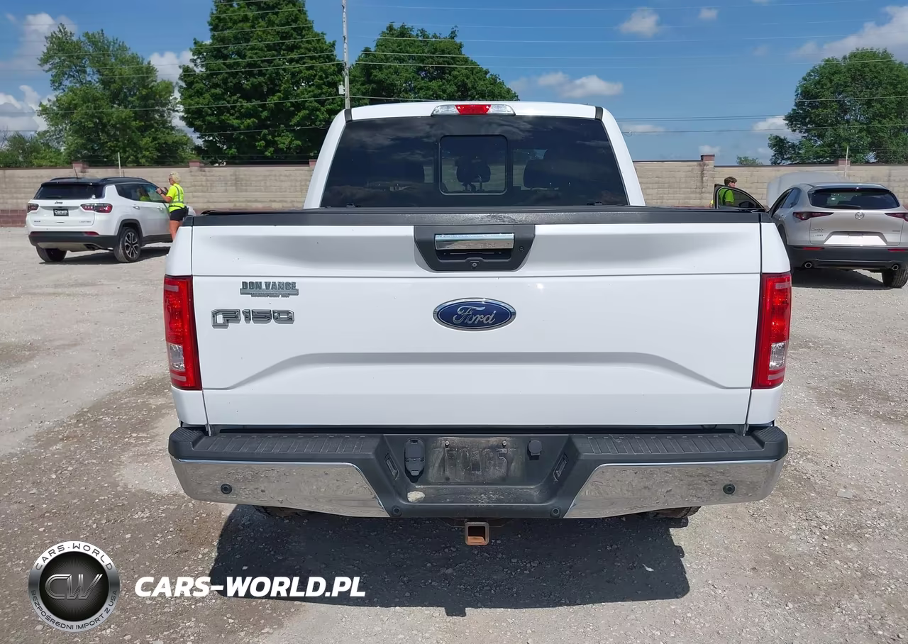 2016 Ford F-150 Xlt VIN:1FTEW1EG6GKE44126 - 16