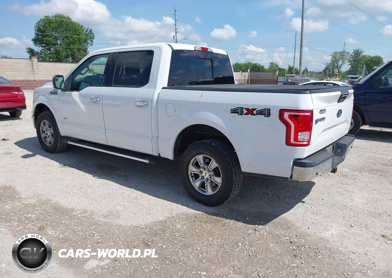 2016 Ford F-150 Xlt VIN:1FTEW1EG6GKE44126 - 3