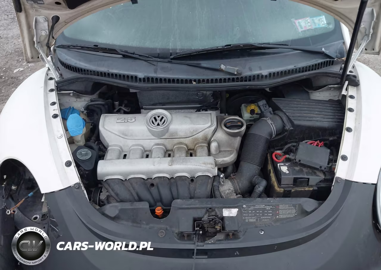 2009 Volkswagen New Beetle 2.5L VIN:3VWRF31Y79M410264 - 10